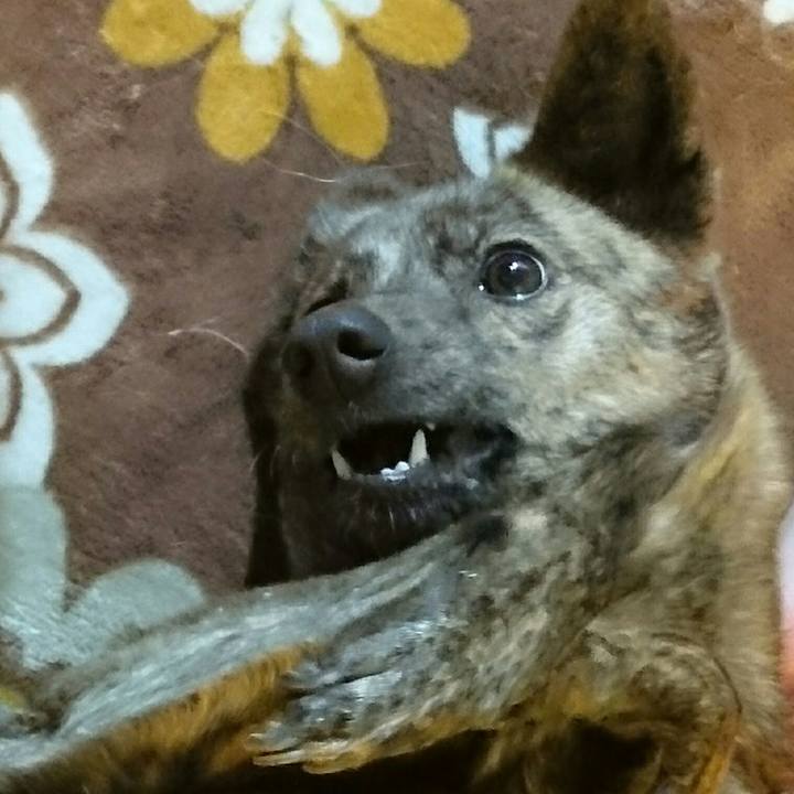 7b76ab7d 0499 4d7e a6cf 76ccb5a0f26a