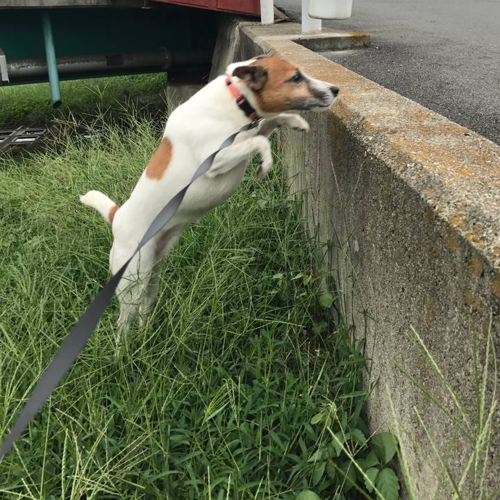 7b76b978 52fc 423a bb96 b102a24ea8f4