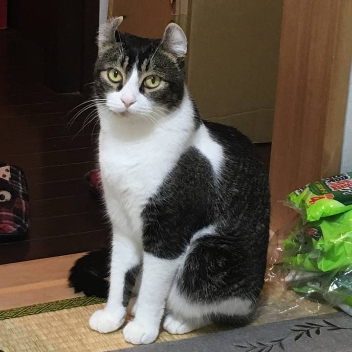 7b76d1af 8148 4ab2 950c 8b0b95b0767d