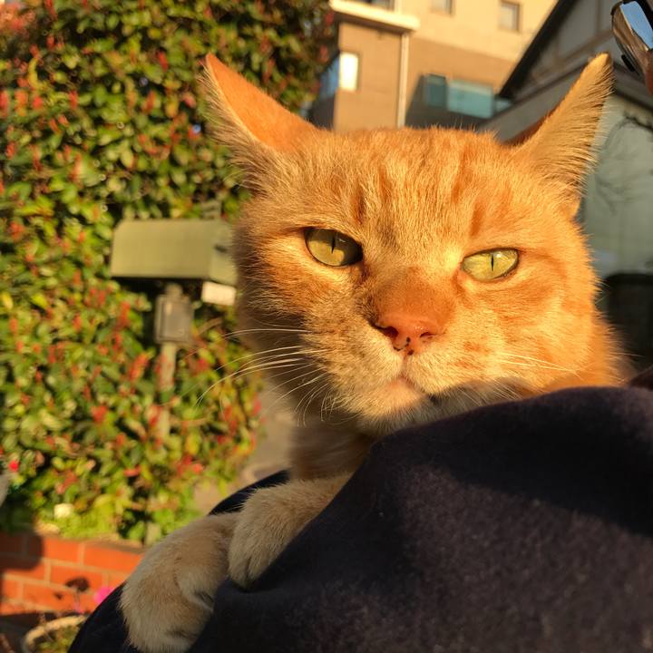 7b76d504 a929 4504 b8db 180098db59f1