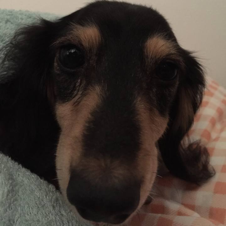 7b7727d2 8769 42ae 954a 597b00983eb6