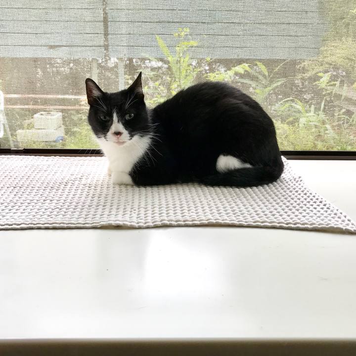 7b7799dd 40cc 4c45 9138 adf915af89ef