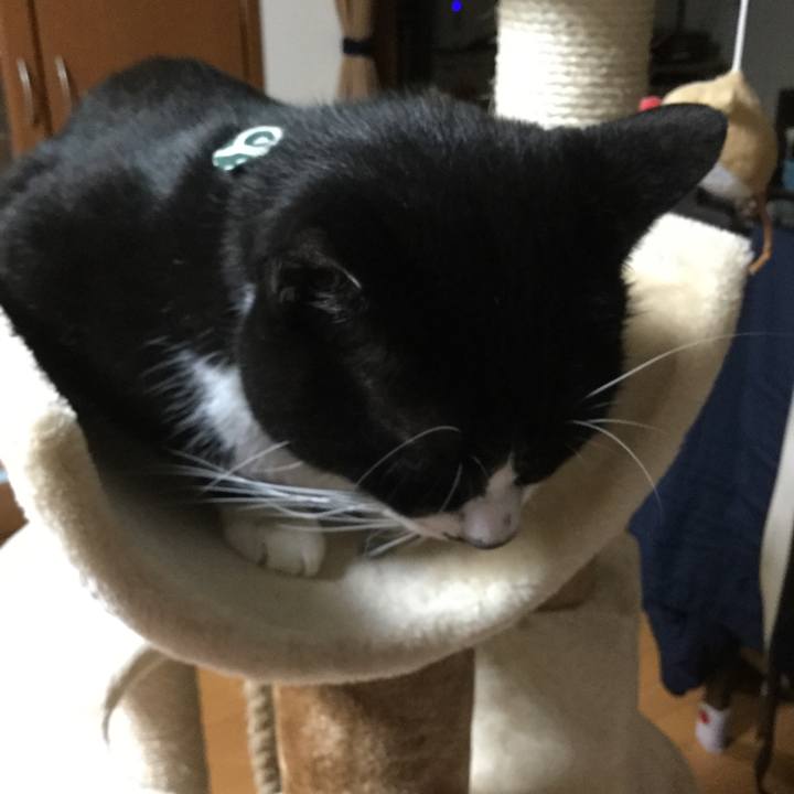 7b7836d8 d442 4798 bc16 2f93cc563b67