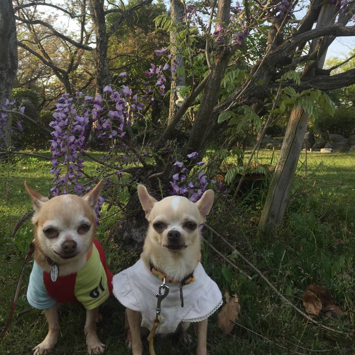 7b783a12 de8b 41fd 8f33 efbdc6a7897d