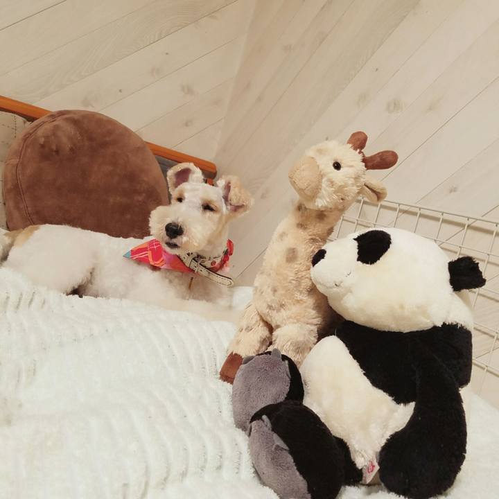 7b786f6f 8d0d 47a1 b328 4299ccec06c8