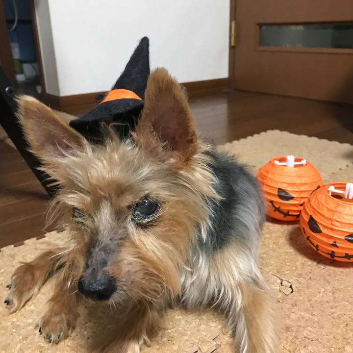 7b789871 c677 49e0 8f20 9cff3121b3d5