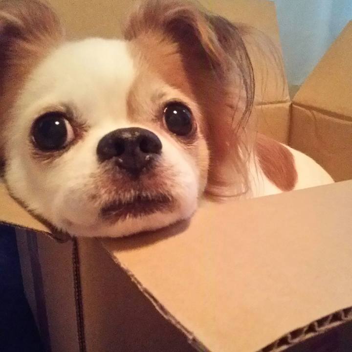 7b78e21f c181 4bfd 8dc3 8992cf30e75b