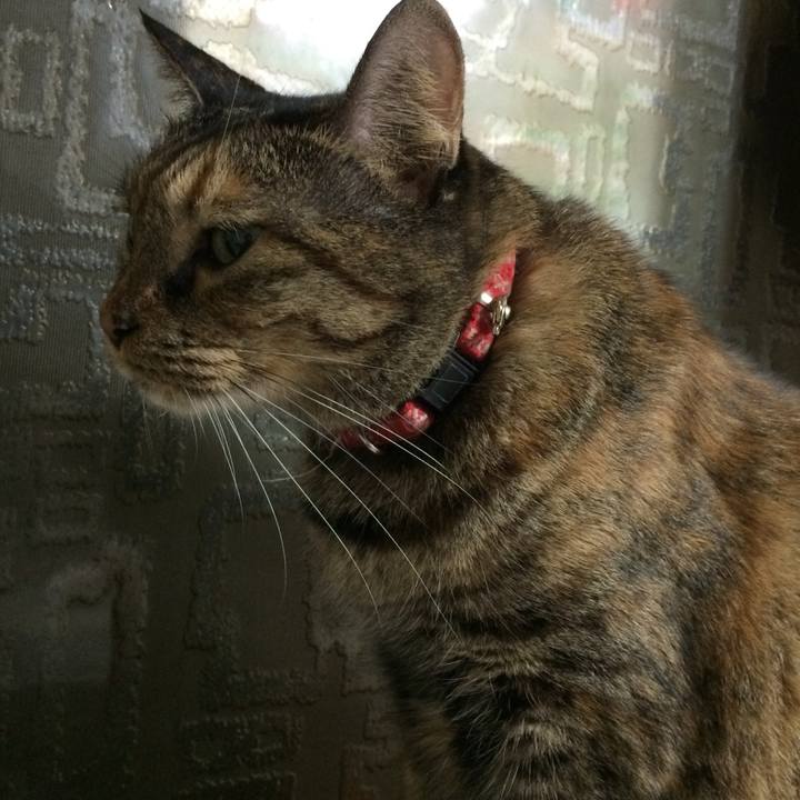 7b792184 da22 4945 9719 e15232eabbe7