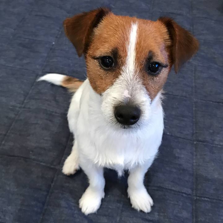 7b7a9307 842b 4f90 a34a 98ff9980634e