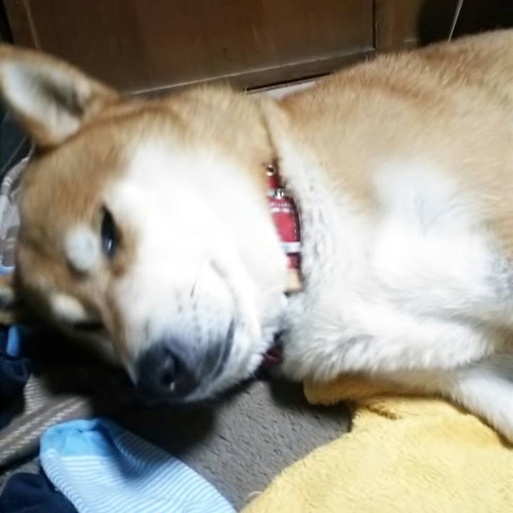 7b7aa19f 208c 4c3a 8408 ab7d084f0a8a