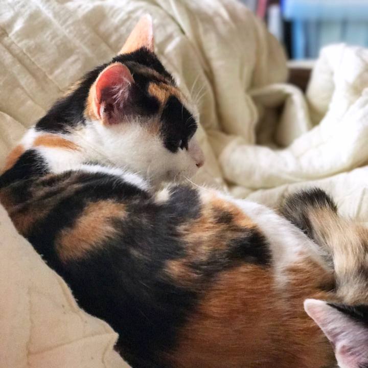 7b7aefdb fc74 4d14 a77e bedcef7009fb