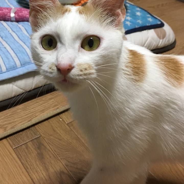 7b7b1aa0 8d8a 4404 97fe 4103937b706d