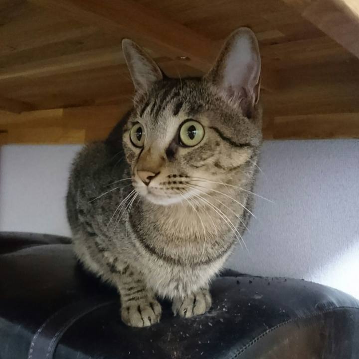 7b7b1fa4 d104 49f0 a3e0 7f025eaf8ecc