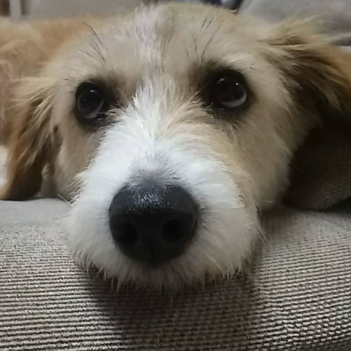 7b7b51c3 10a0 4a41 a32b 4de9a82009e0