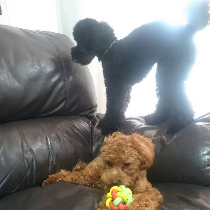 7b7b71a0 3f36 4853 af86 82ddfa61d1de