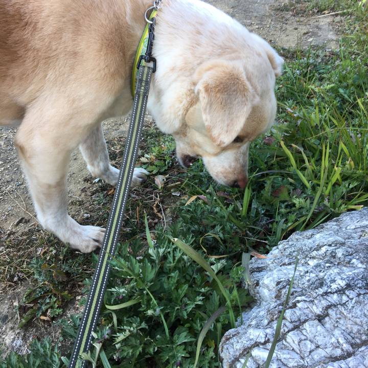 7b7bd6c2 a468 446b 92a0 7417975ace29