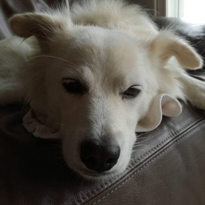 7b7c1617 880e 40b8 b995 5bf18c85894b