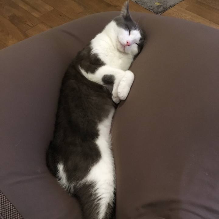 7b7c2253 6598 4295 9fd1 8e5473660b50