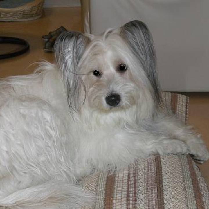 7b7d6684 c223 47b6 bc90 1e3943daf258