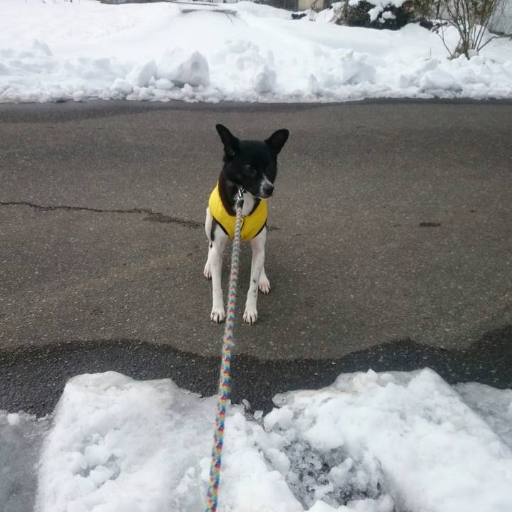 7b7d67b7 a489 409c 86de 01ec661e5517