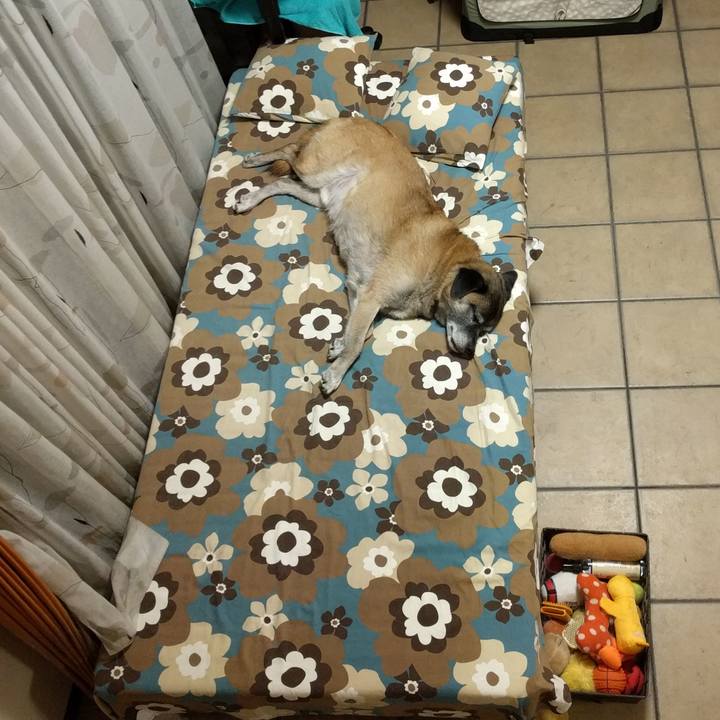 7b7dd7d4 6718 4638 b9db b08b2d1fed9a