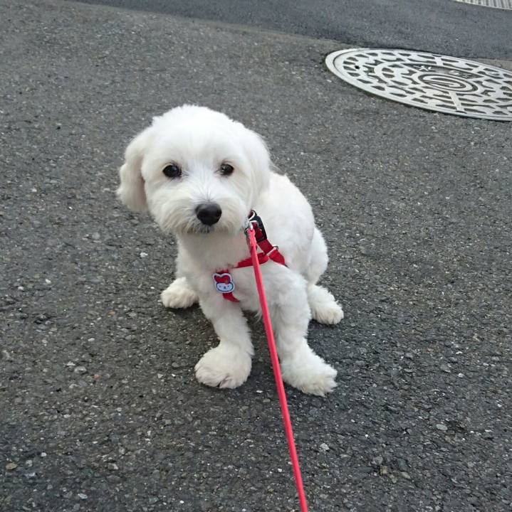 7b7f36fb ac91 4669 a9af 7bdfa0dd7cfb