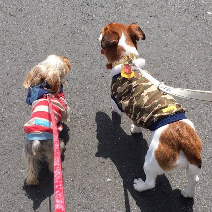 7b7f45e2 960f 44e3 a886 8a44e549e89f