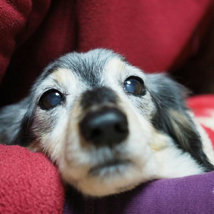 7b80c090 0f26 449c 9154 a65ac637eaa8