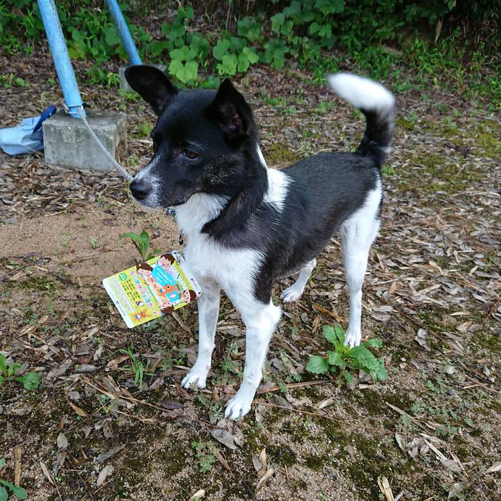 7b811d86 971b 4fbe b57f aa3680bf3cbb