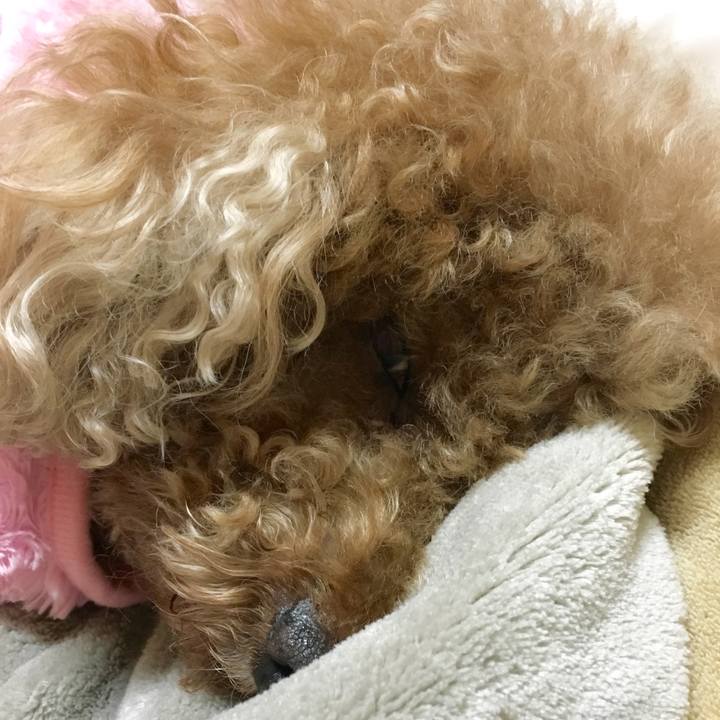 7b824125 2b63 49a8 a5bc 03062265ce37