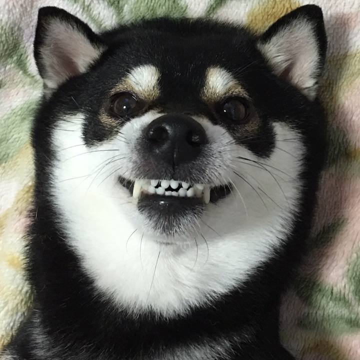 7b827861 76c5 48c4 8812 ced42e996866