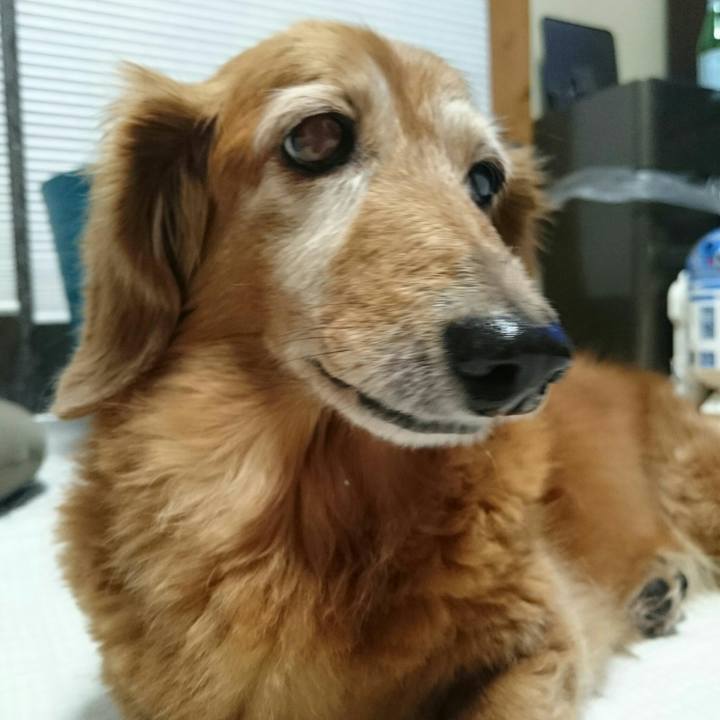 7b82c17b 5b1e 4ba7 9481 c7f2a0f1c242