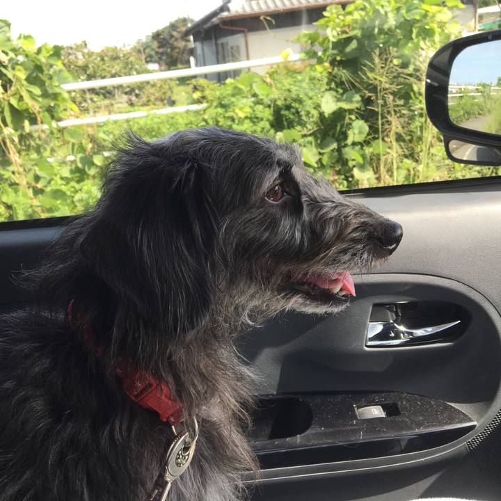 7b82e286 4680 4e54 ac9b 7dc9c6024b16