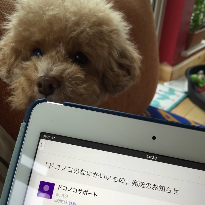 7b839968 336c 48dd b4e9 b42453238ca3