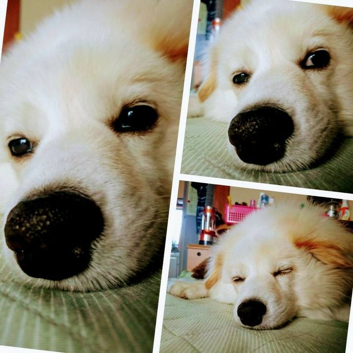 7b83a1e6 cb70 4839 b3f8 1d7631cf87c9