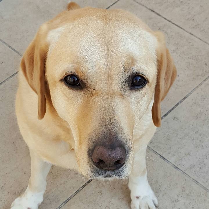 7b83a34e 0db8 4fa1 9427 ce0aff6295b6