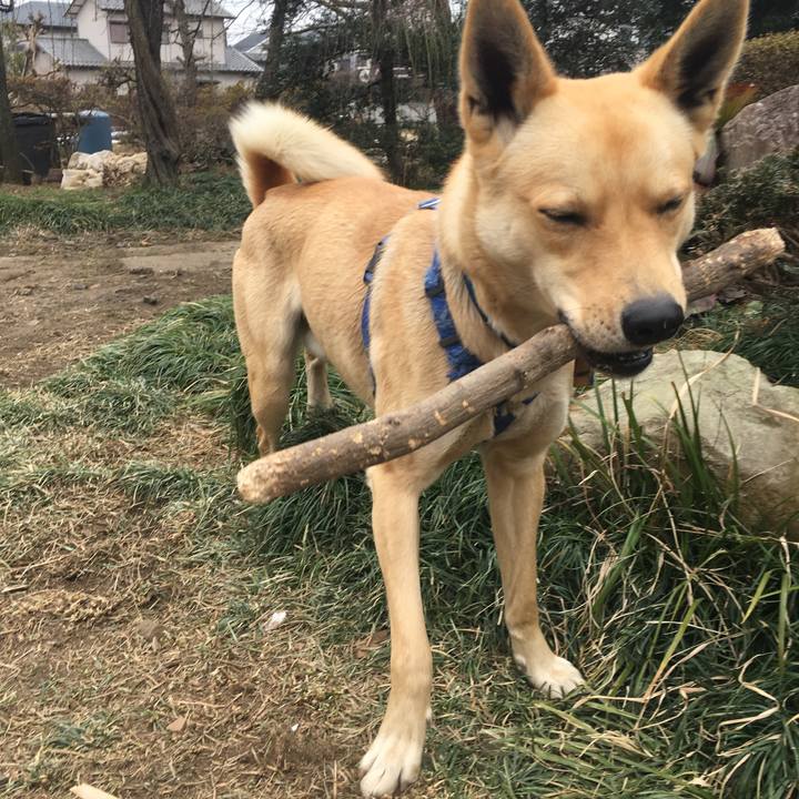 7b83da15 9438 4d8f 9d60 872563a2e382