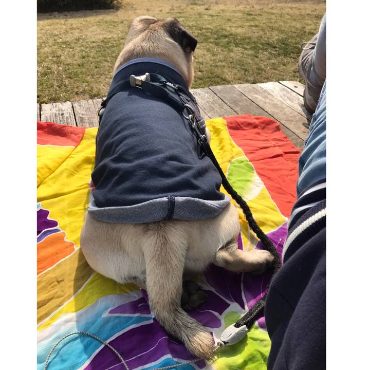 7b84001e aaf1 4b18 a303 a4dc8afa93e2