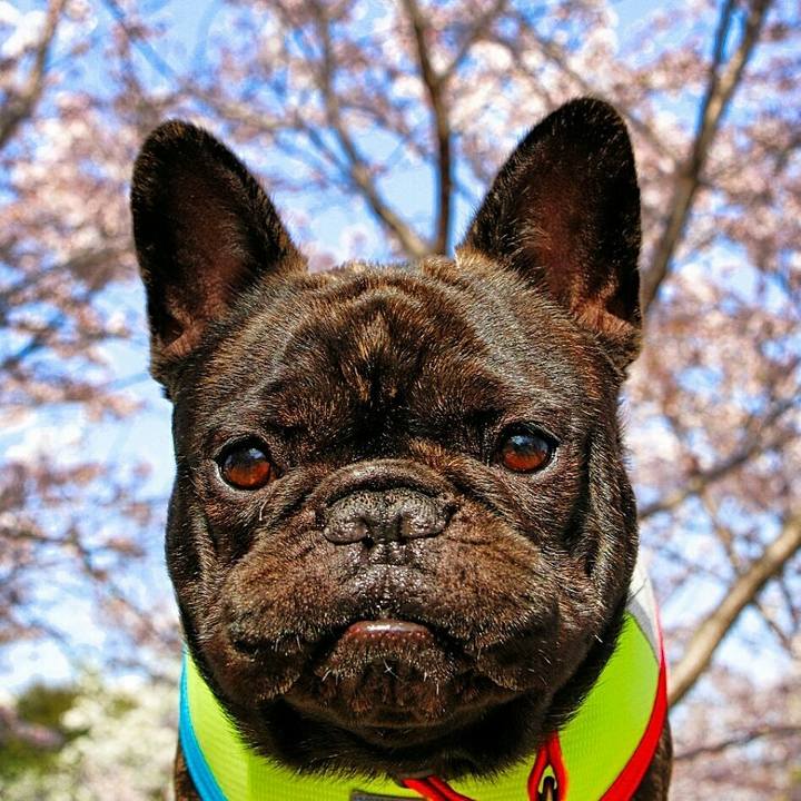 7b843a27 08d8 4b8d bc1a 685623490e6e