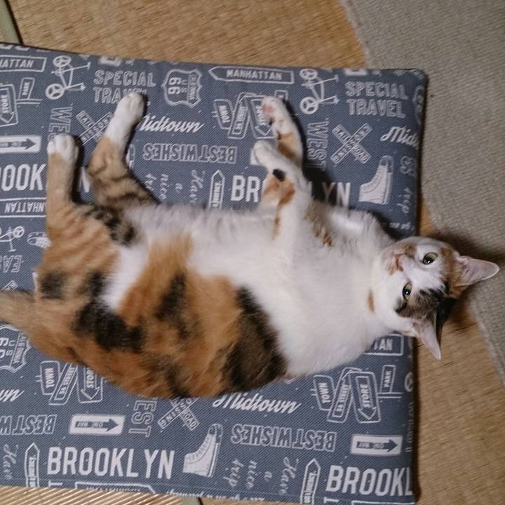 7b844e73 6d5c 4217 ad5c 0cf7480a6e79