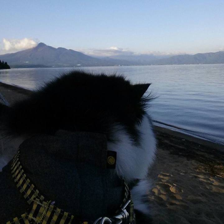 7b84b7ae 4987 4322 b0c2 a30b0473a16c