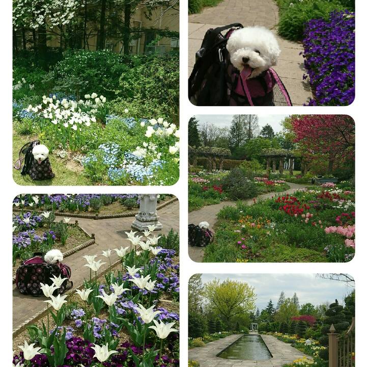 7b8516fd 628b 4003 aa09 104116a077e7