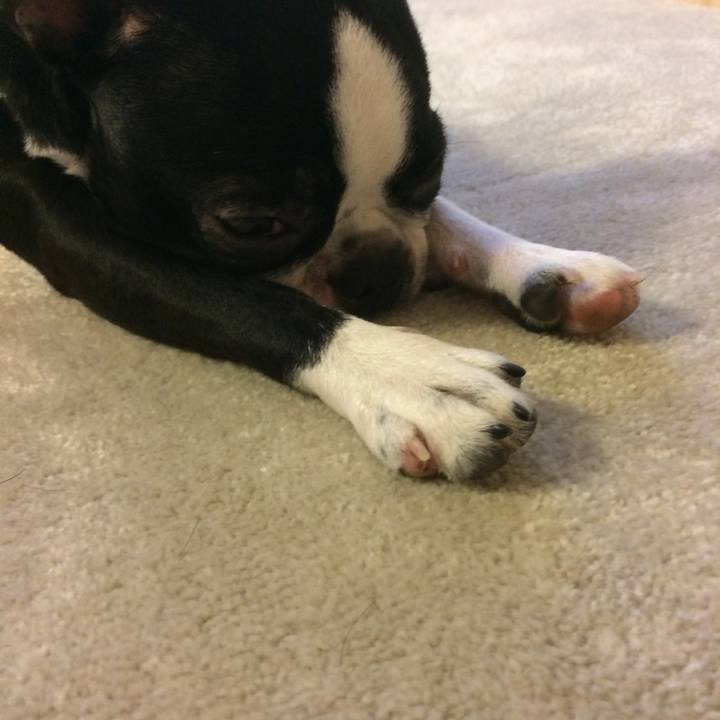 7b8526d0 fb39 404a b0e6 391b0151c4d1