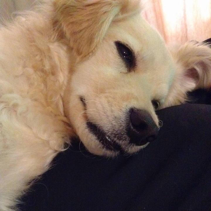 7b860e6e f92f 4123 93d7 c0b84f0cfba6