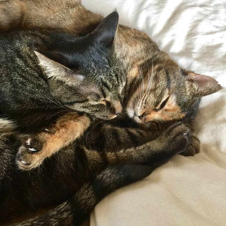 7b8635a0 9c47 4115 b1f8 e4fa90f9d8d3