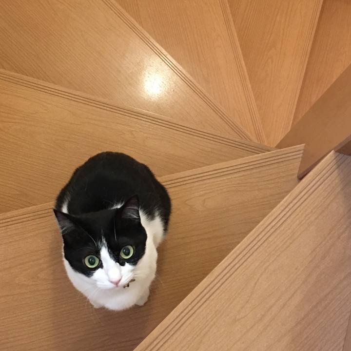 7b8645a5 ee55 4834 879d af1c3f7d2948