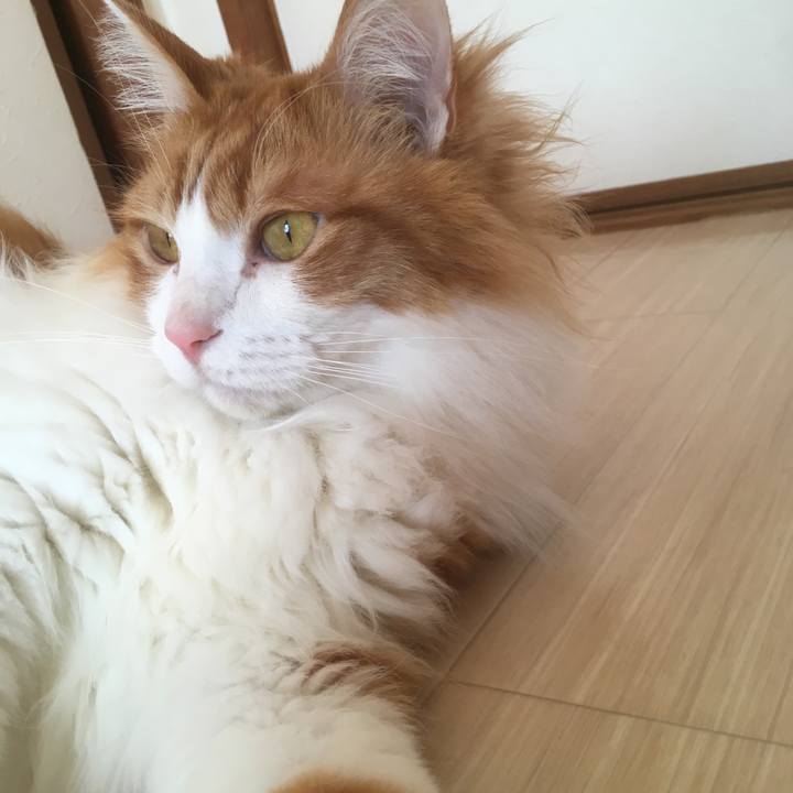 7b86c56e 75f9 4e1d a82d 4fdad3833f5d