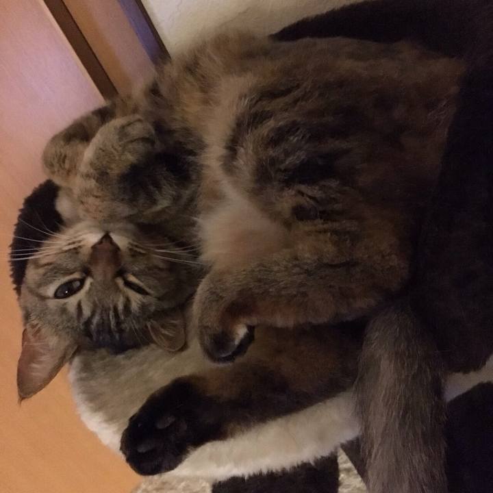 7b86ed4c 99bc 4805 82a1 c70741a79f6c