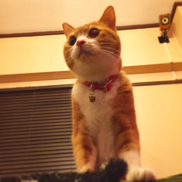 7b870bb2 f030 4984 8dbc 6053140e3088