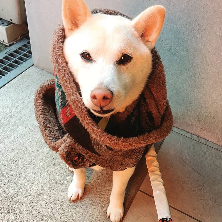 7b8739f0 e03d 4ae8 9b8b ace16a911e7b